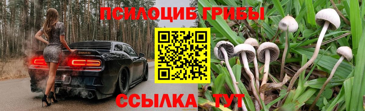 сколько стоит  Вход с VPN  Вышний Волочёк  Галлюциногенные грибы прущие грибы 